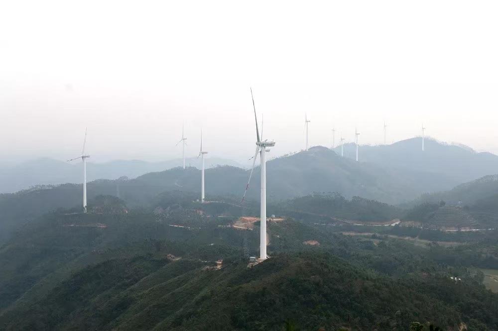 香港特马王中五资料